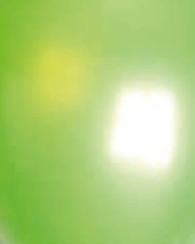 Metallic Parel Ballonnen kleuren stalen The Balloon FactoryNo