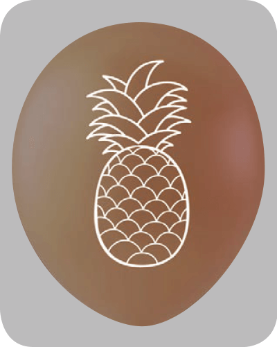 The Balloon Factory Bedrukte Ballonnen